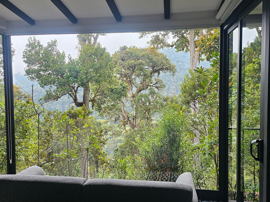 Dantica Cloud Forest Lodge主图