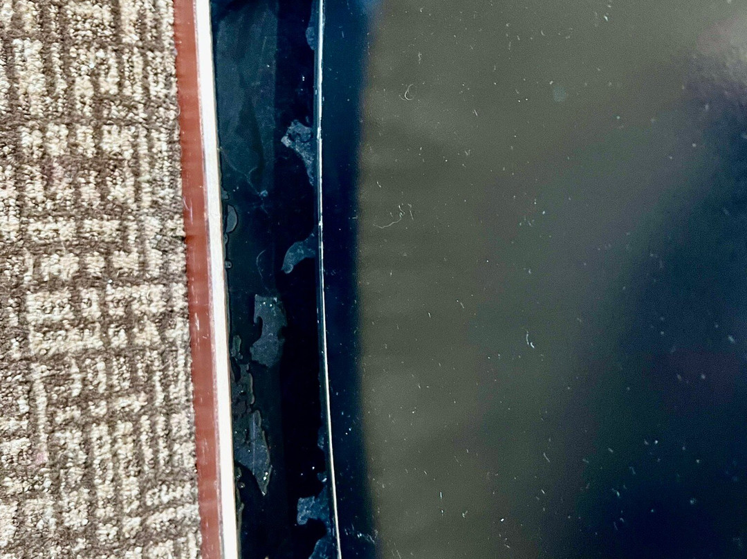 Comfort Suites Rochester Henrietta University Area主图