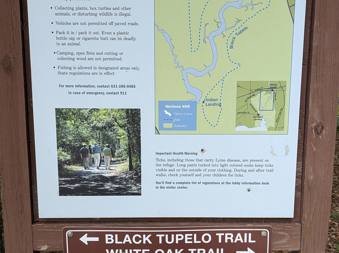 Wertheim National Wildlife Refuge-Shirley必去景点