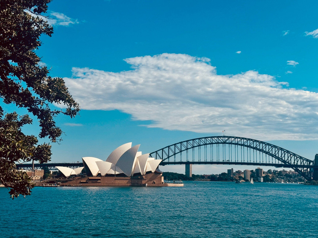 Shire Shuttle Bus-克罗纳拉必去景点