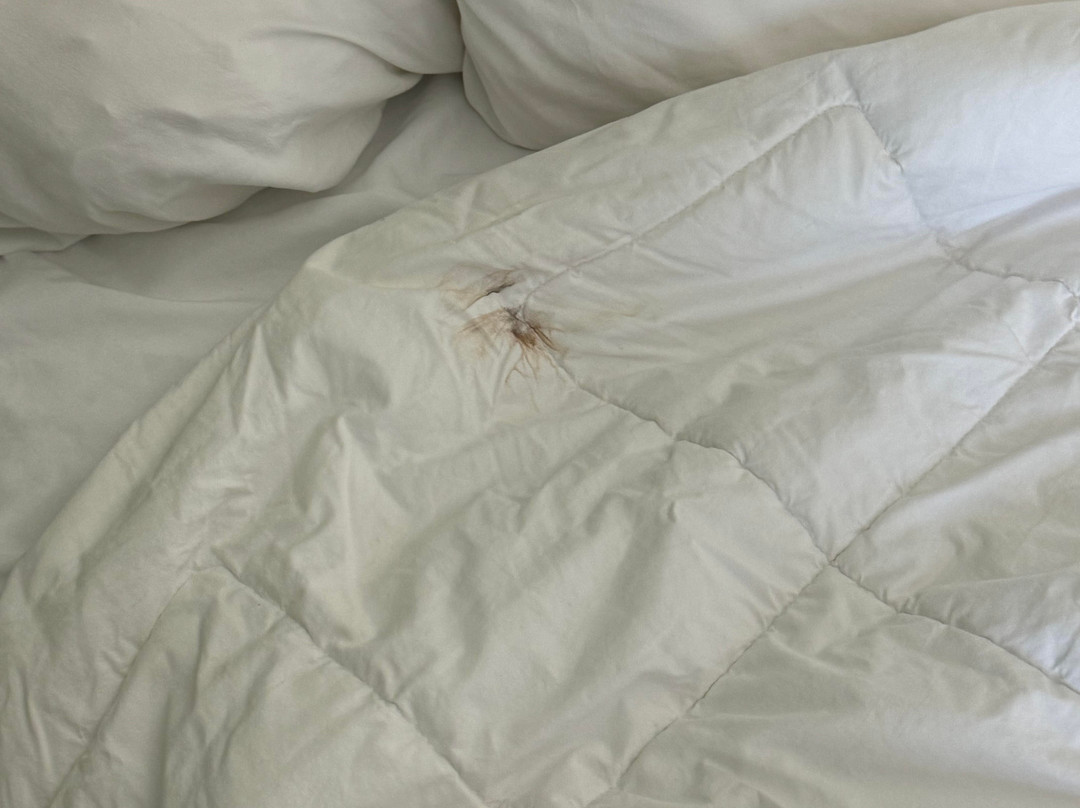 Quality Inn & Suites主图