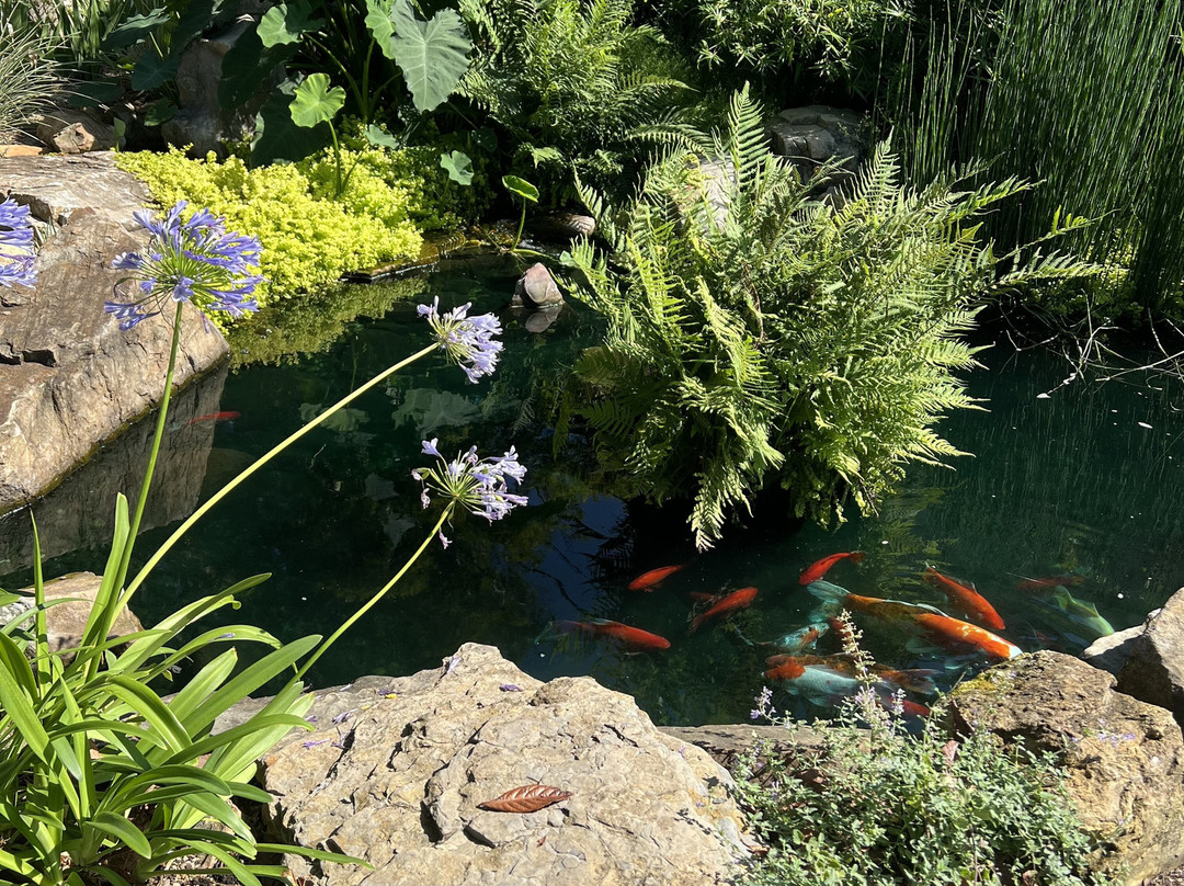 Dothan Nurseries Greenhouse, Gardens, and Gifts-多森必去景点