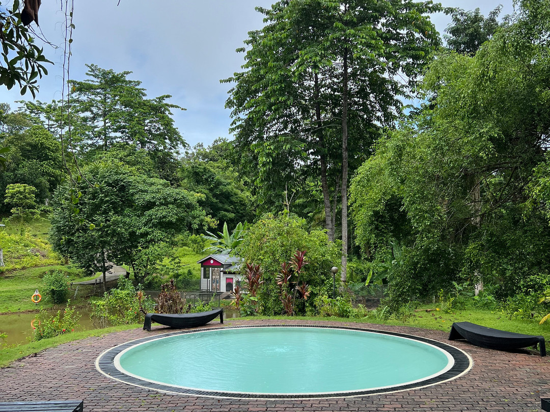 Sepilok Forest Edge Resort主图