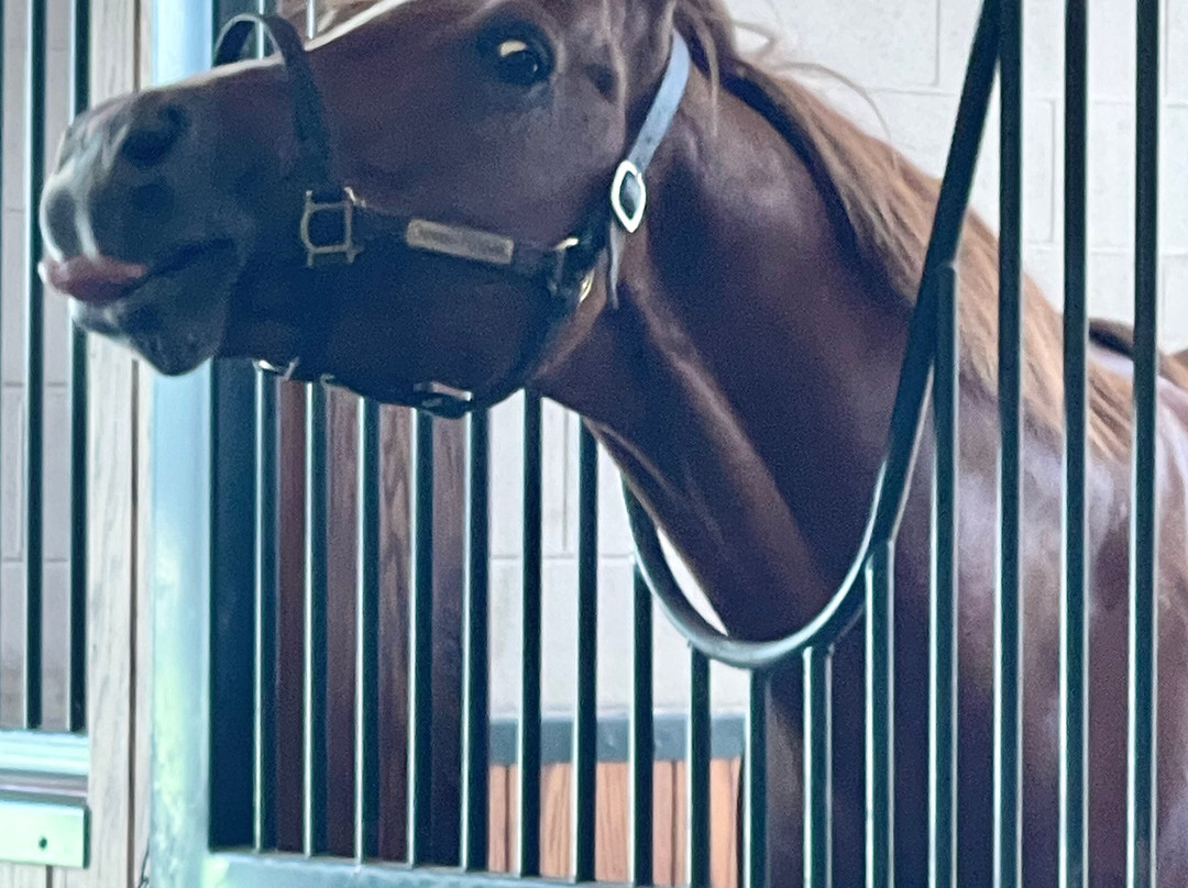 WinStar Farm-Versailles必去景点