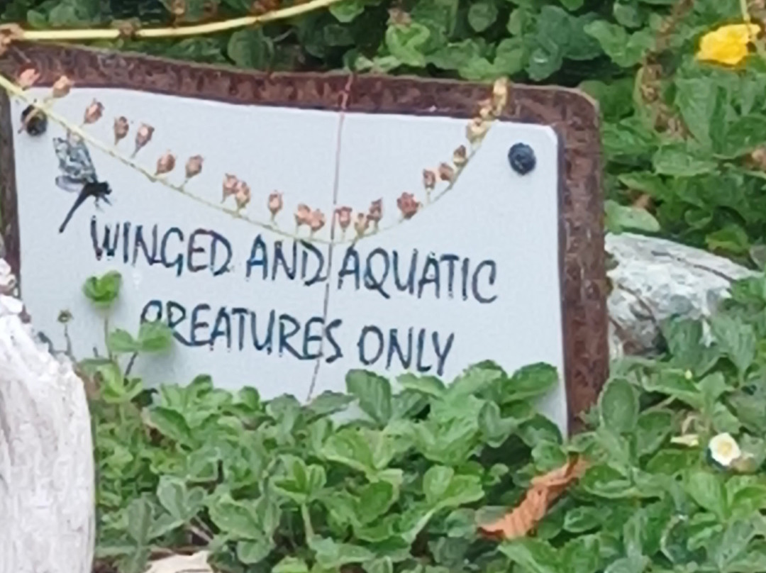 Hadley Gardens-Ferndale必去景点