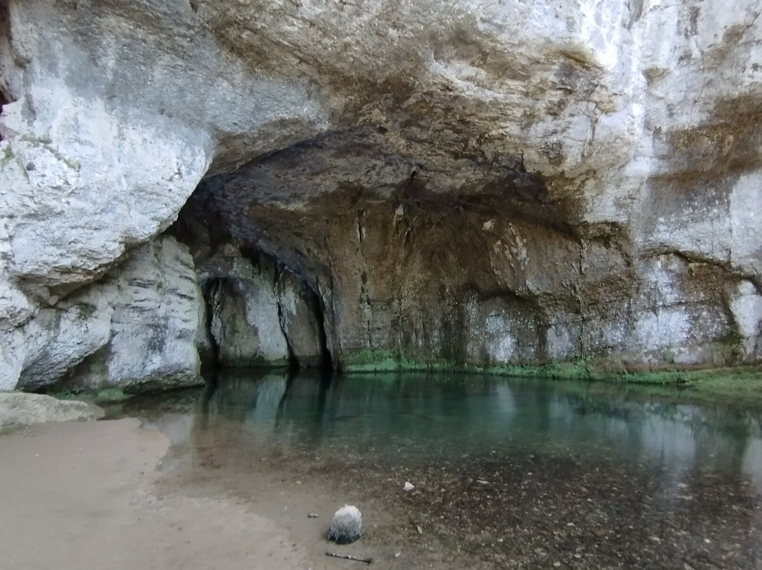 Grotte Sarrazine景点图片