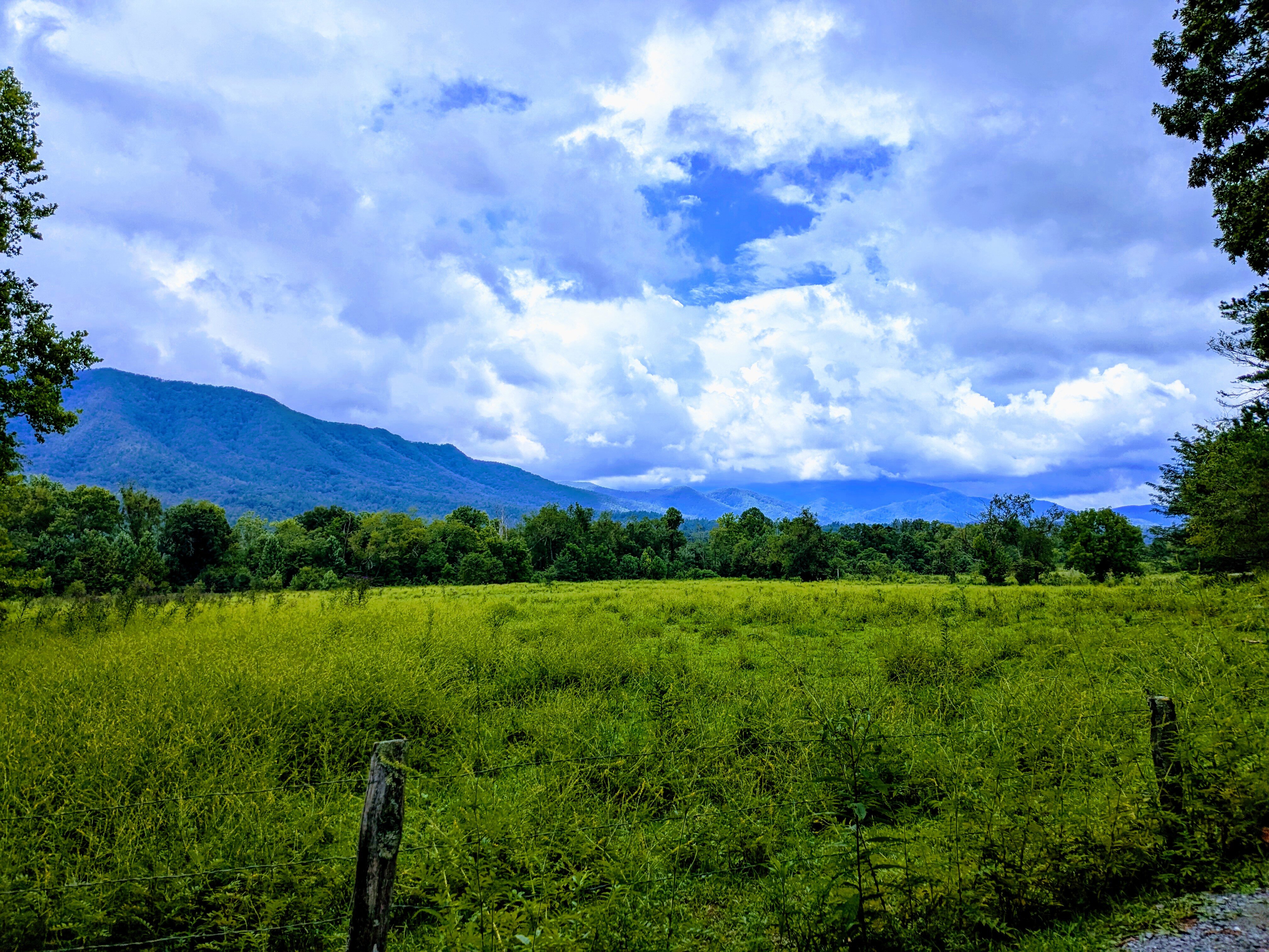 Hilton Vacation Club Bent Creek Golf Village Gatlinburg-官方
