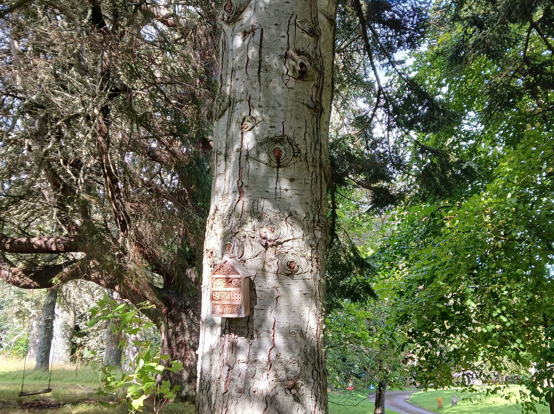 Boleskine House-因弗内斯必去景点