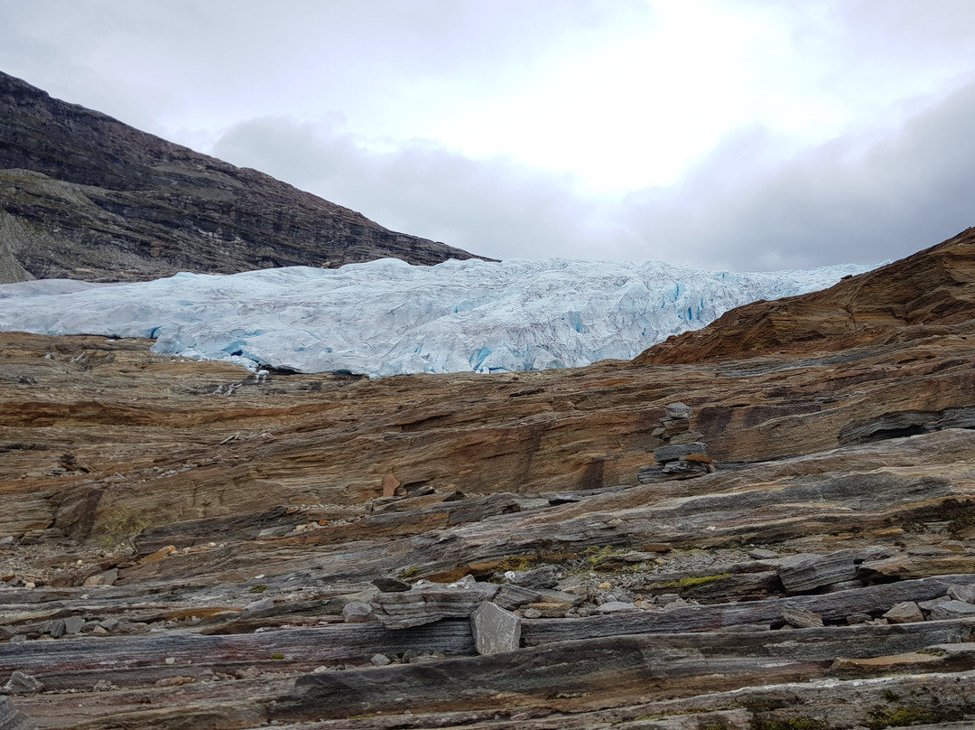 The Svartisen Glacier Austerdalsisen景点图片