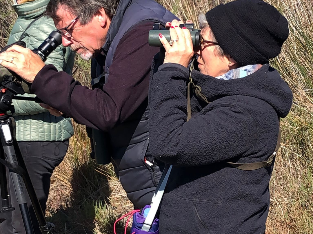 Birding Languedoc景点图片