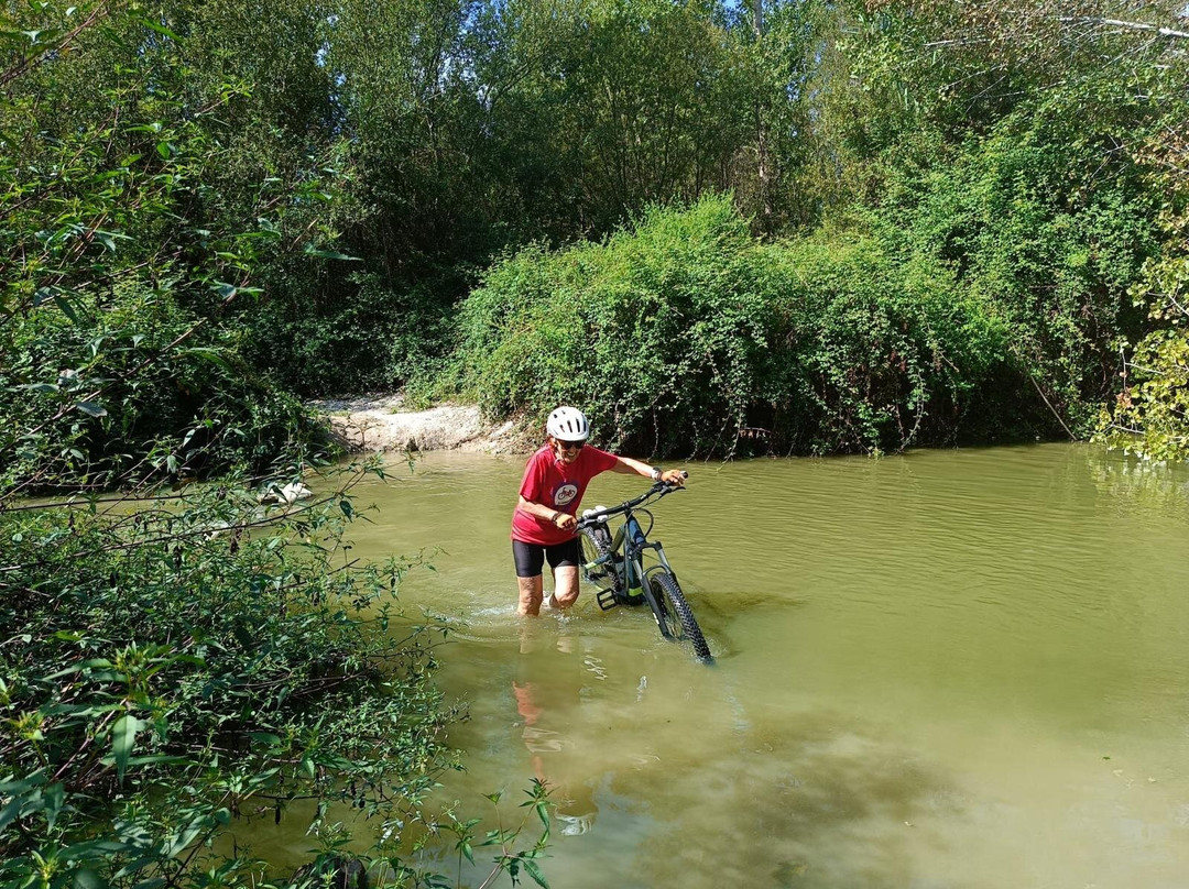 Aventura Pata Negra Denia-德尼亚必去景点