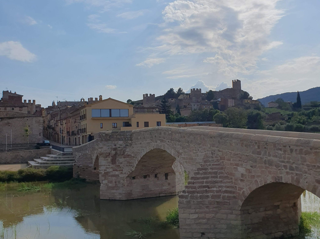 Pont Vell景点图片