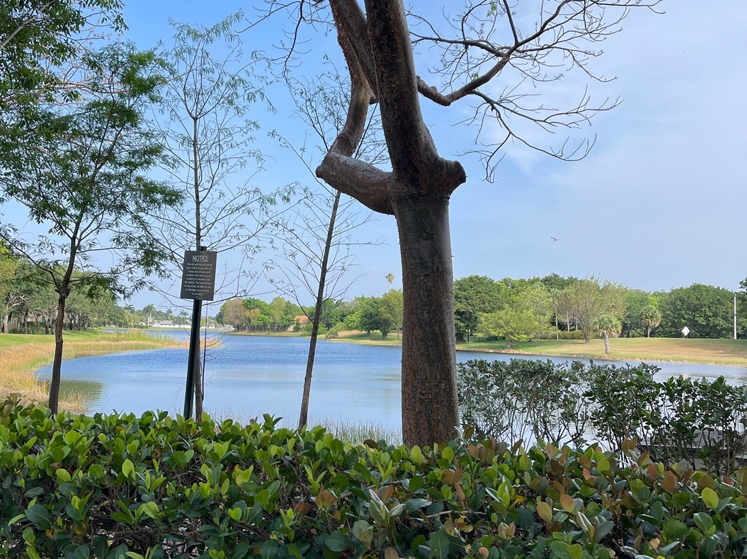 Residence Inn by Marriott Fort Lauderdale Weston主图