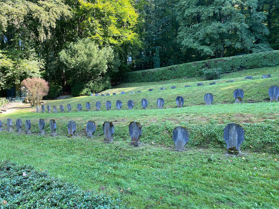 Klosterruine Heisterbach景点图片