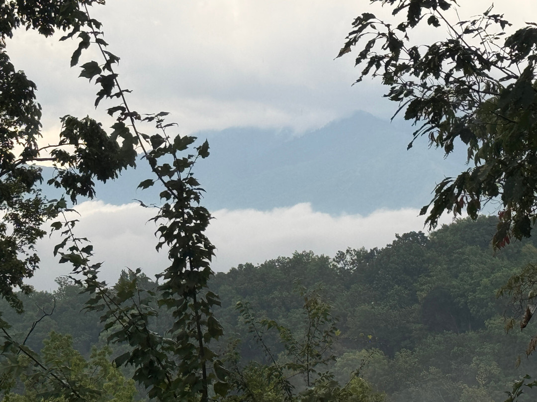 Shaka Guide: Maui Audio Tours-毛伊岛必去景点