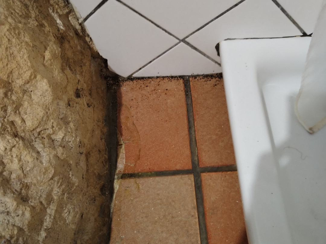 Il Casale B&B主图