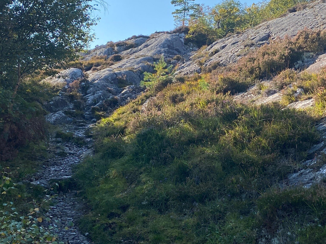 Carn Na Frith-aird Viewpoint景点图片