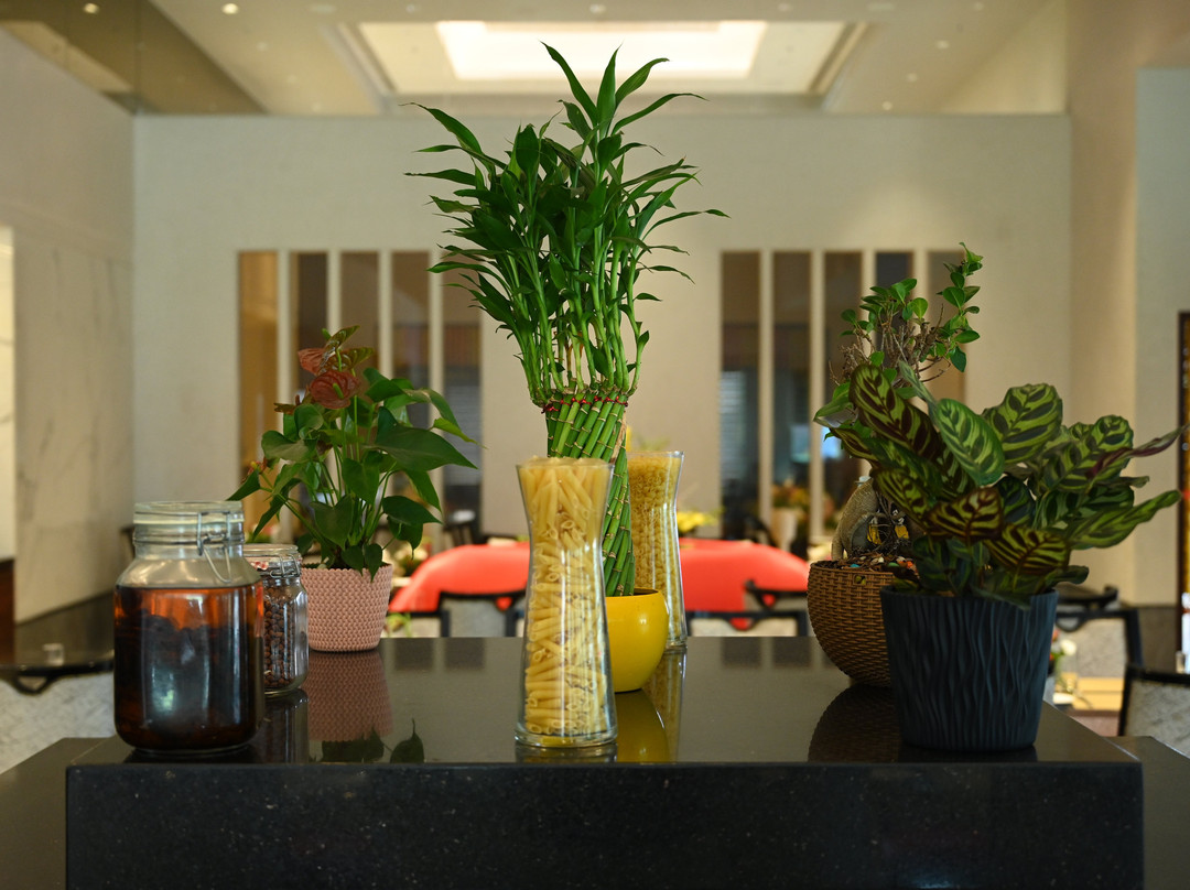 Manjeera Sarovar Premiere Hotel主图