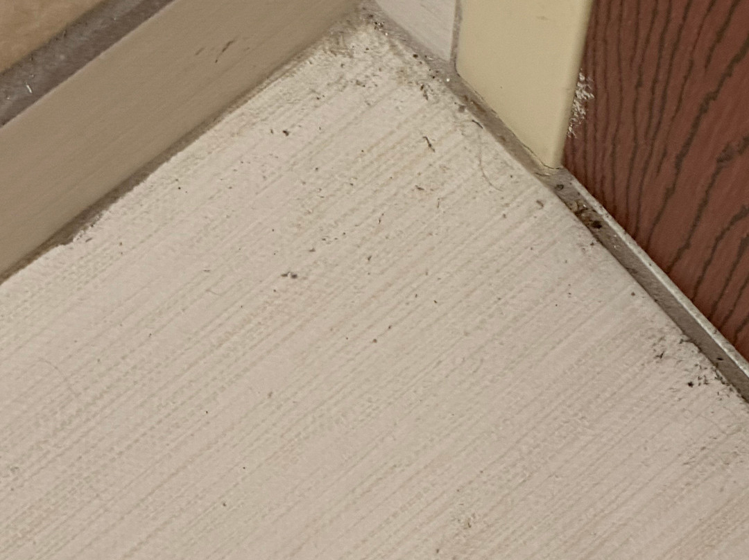 Holiday Inn Express & Suites Frankenmuth By IHG主图