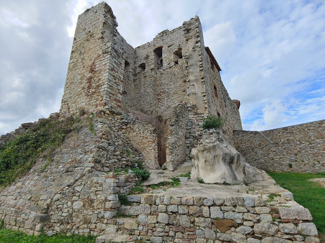 Rocca Aldobrandesca景点图片