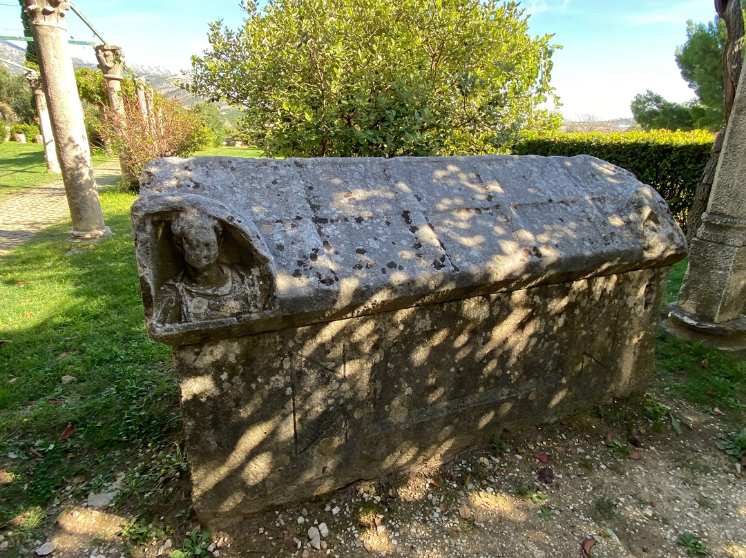 Tusculum Museum景点图片