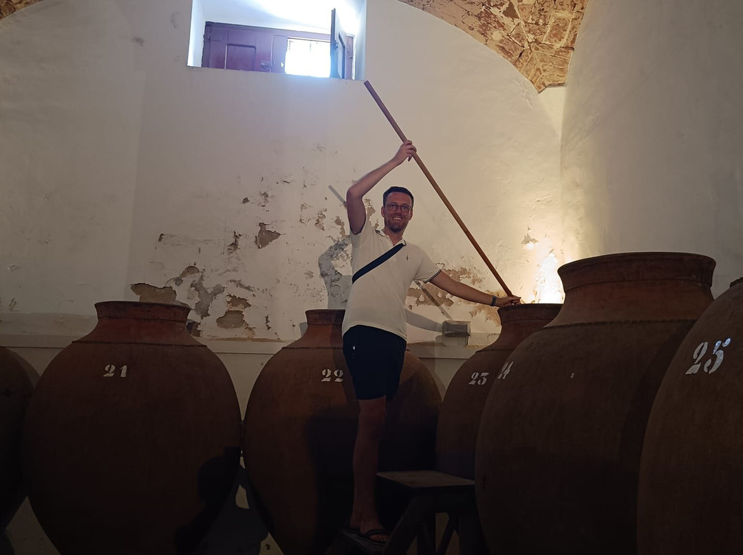 Adega Jose de Sousa-Reguengos de Monsaraz必去景点