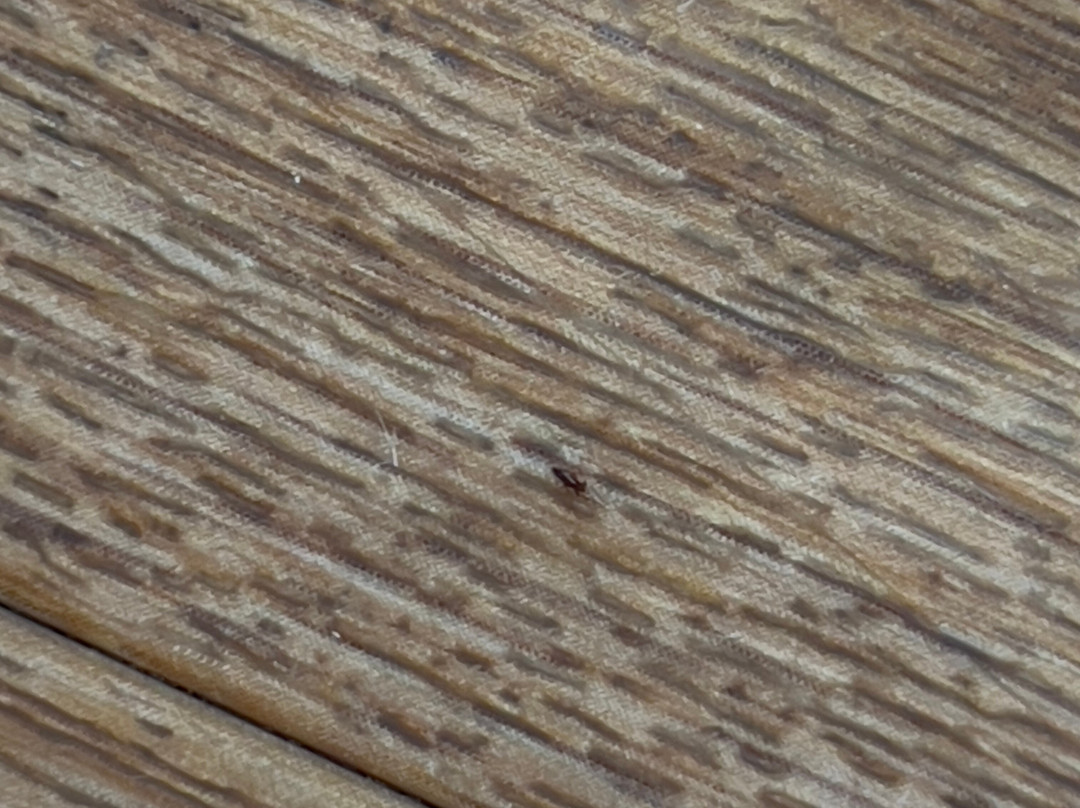 Tower Hotel Apartments主图