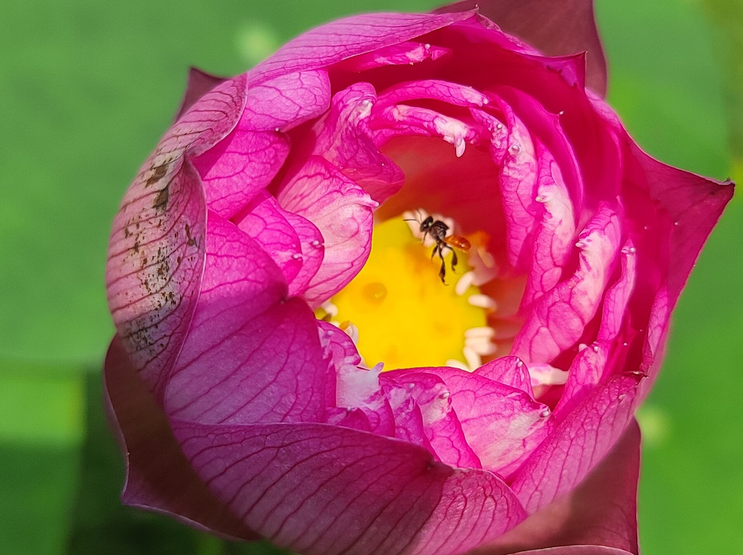 IORA - The Retreat, Kaziranga主图