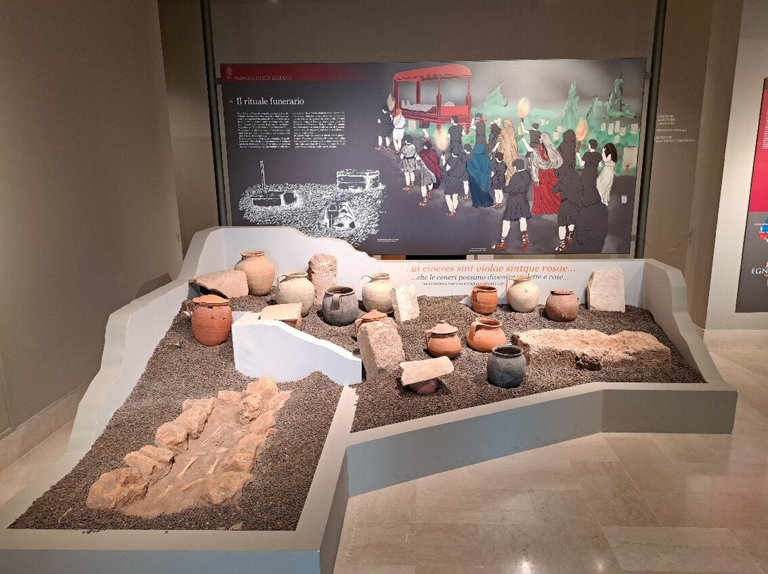 Museo Nazionale Archeologico di Egnazia ‘Giuseppe Andreassi'景点图片