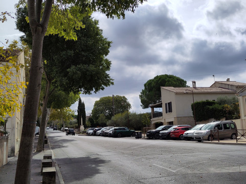 Van Gogh Walk-圣雷米必去景点