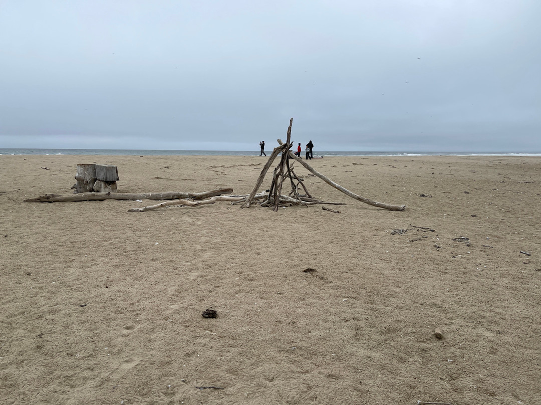 San Gregorio State Beach-San Gregorio必去景点