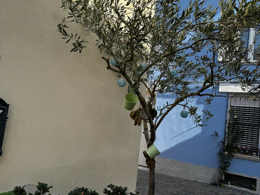 Borgo San Giuliano景点图片