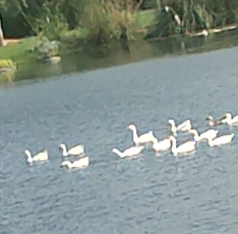 Life At Repose: Lake Villas Resort & Club主图