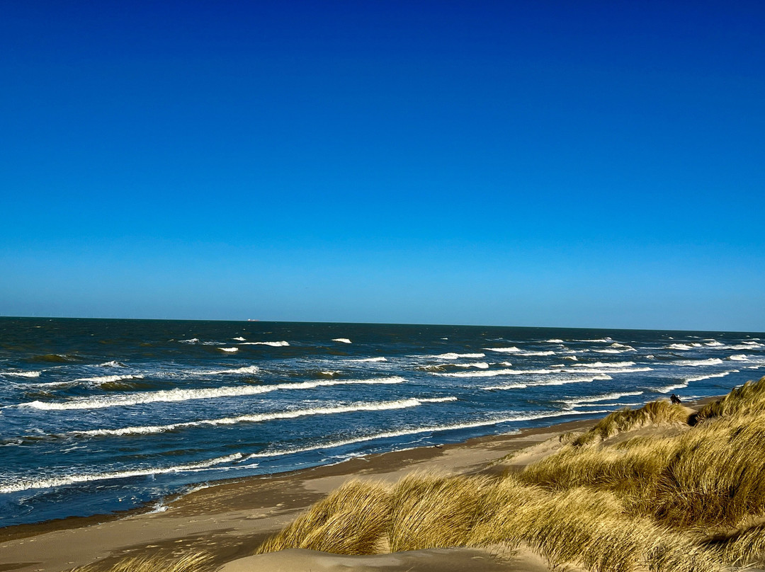 Beach De Haan景点图片
