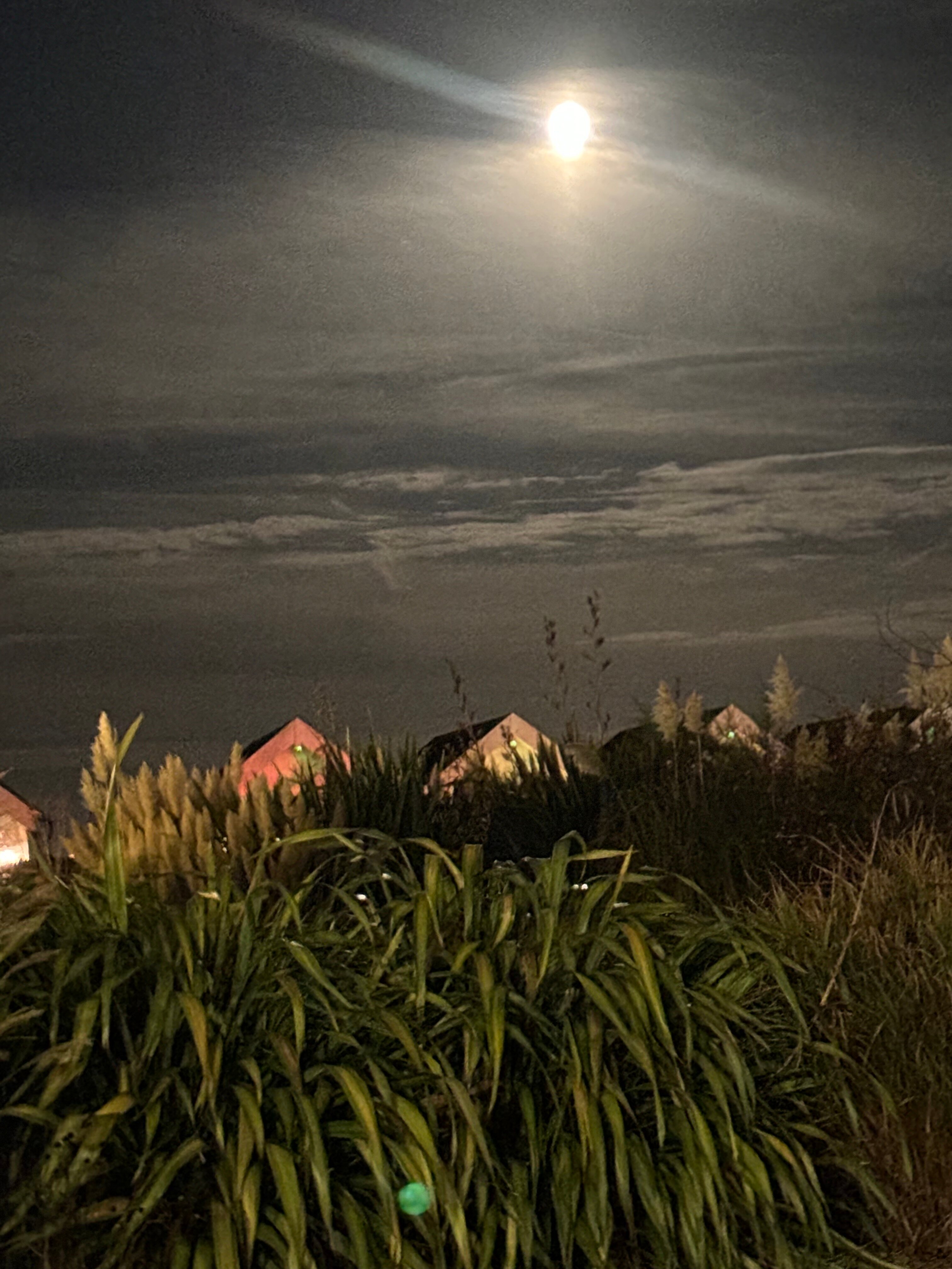 Warner Hotels - Corton-浴室