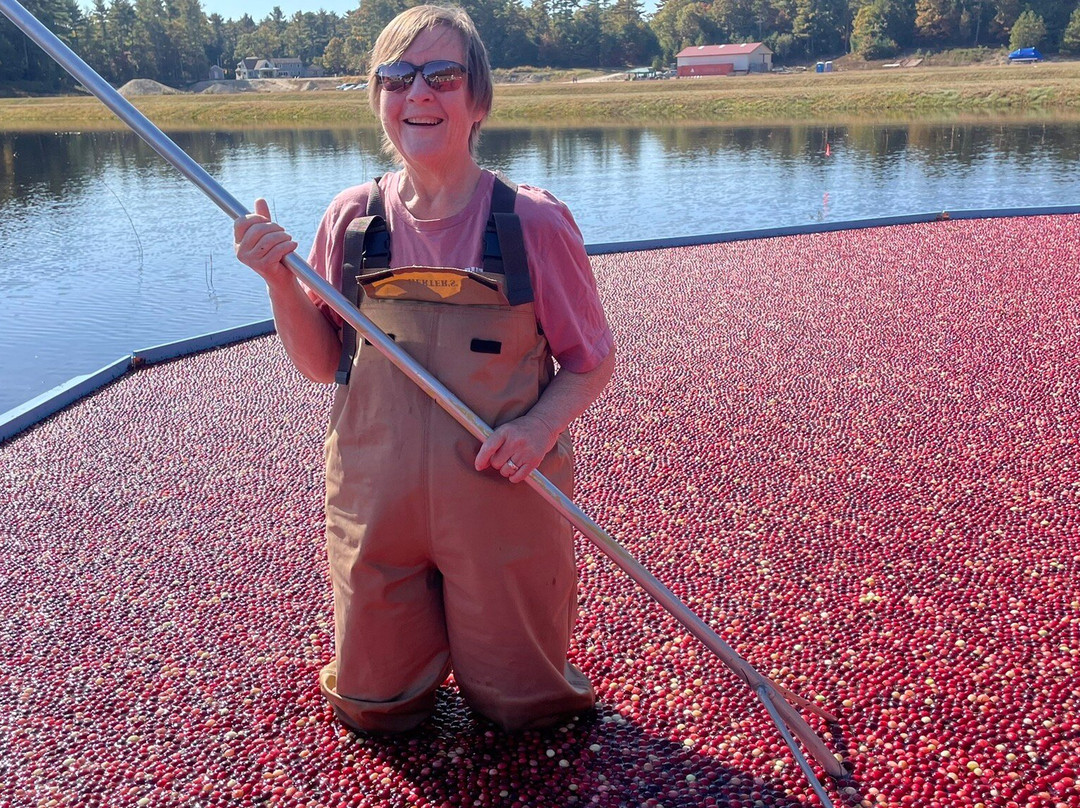 Hartley Family Farm Cranberry Bog Tours-Rochester必去景点