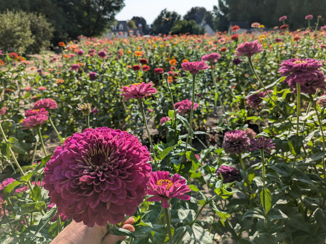 Riley's Apple Farm-Oak Glen必去景点