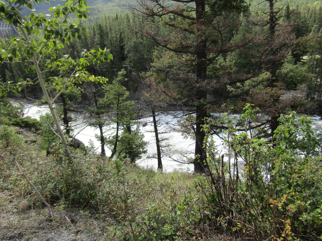 Bow River Trail-班夫必去景点