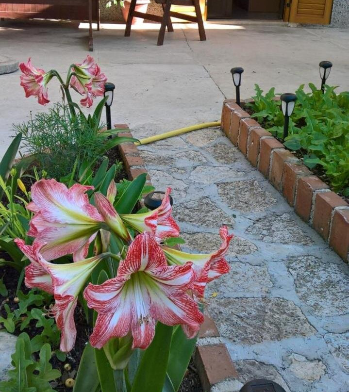 Apartmani Rukonić Aleksandar