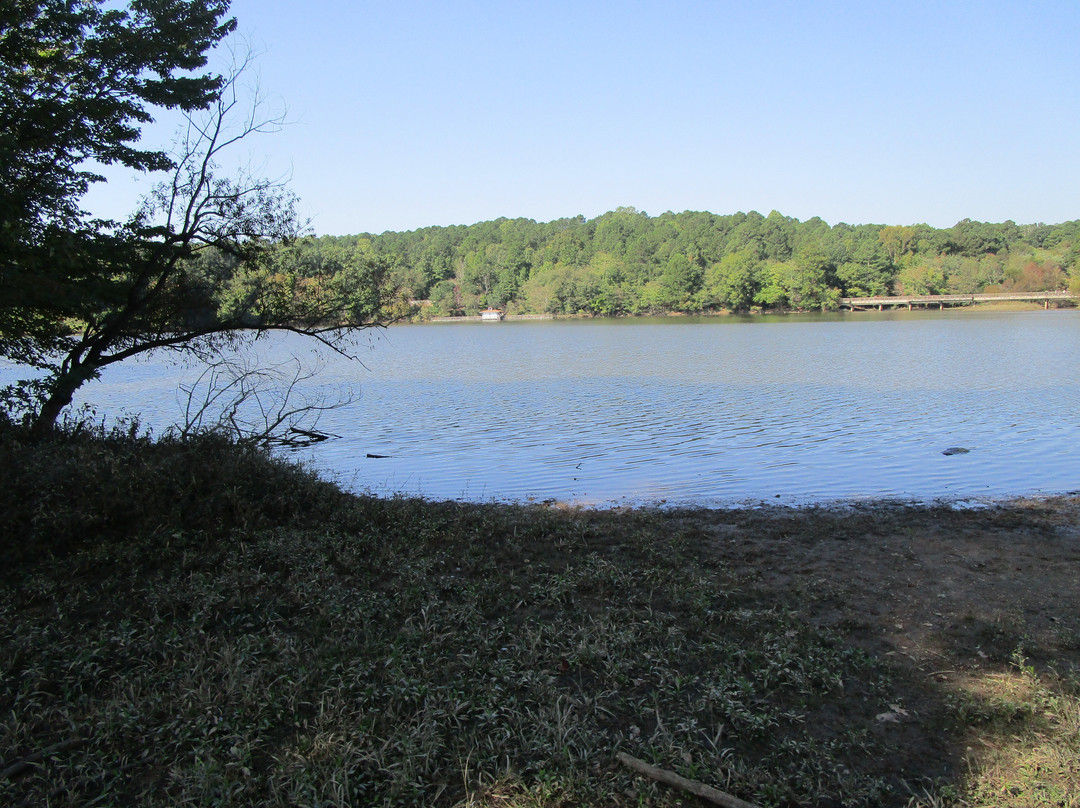 Shelley Lake Park景点图片