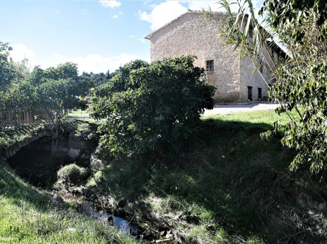 Hort de l'Aubert