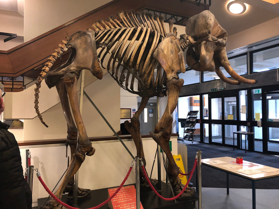 University of Aberdeen Zoology Museum-阿伯丁必去景点