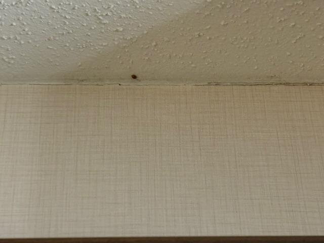 品质套房酒店主图