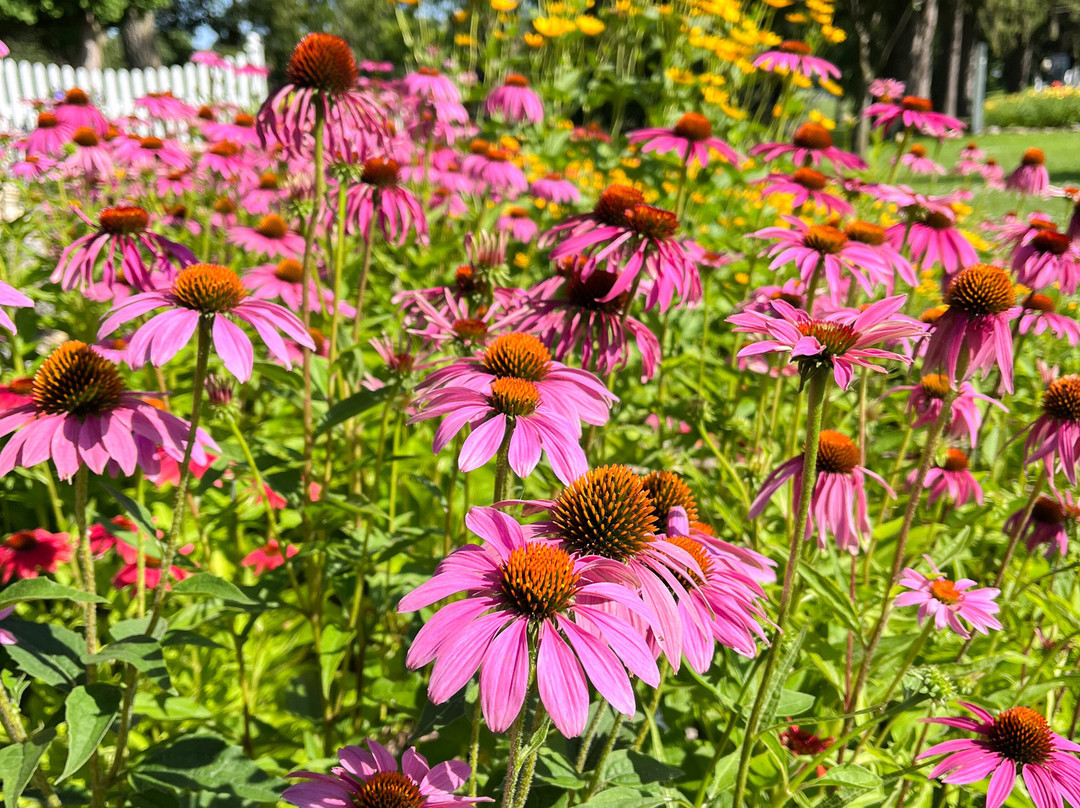 Lincoln Park-Fairmont必去景点