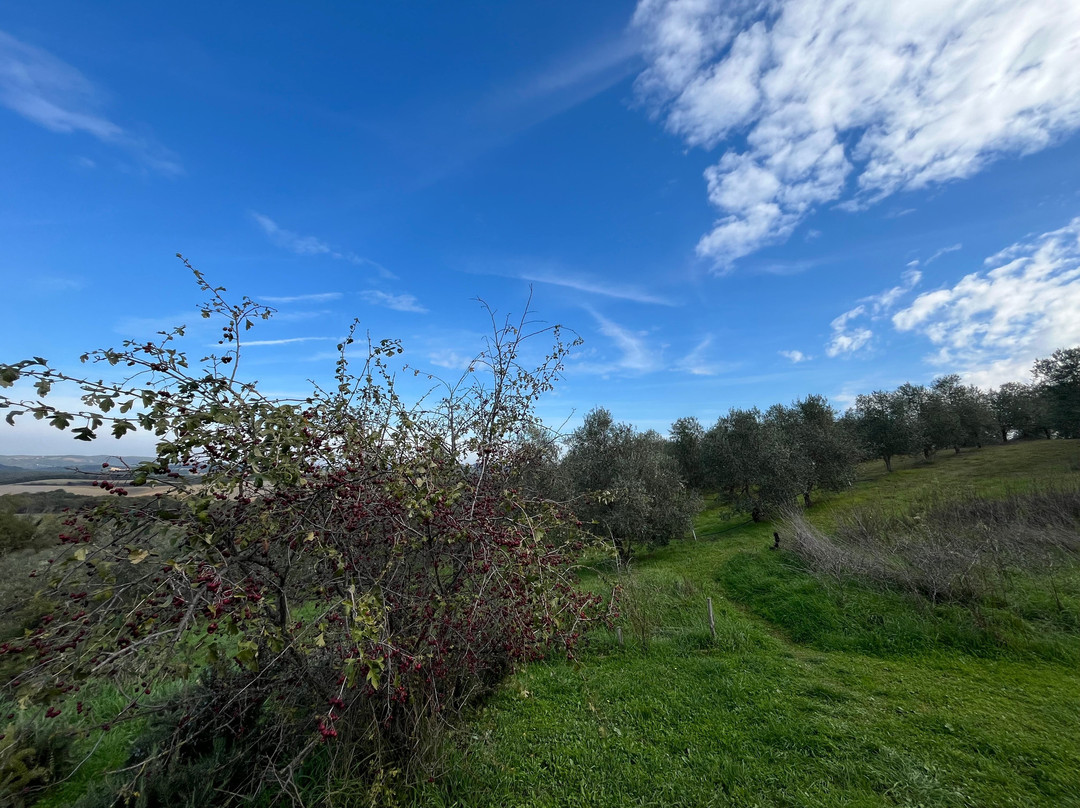Azienda Agricola Invidia-皮恩扎必去景点