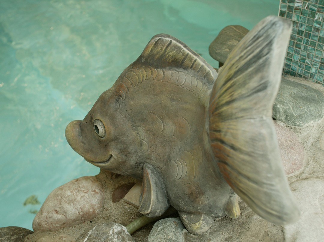 Schlossberghof Marzoll主图