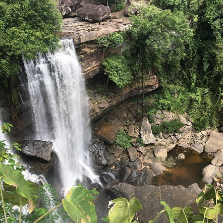 Vientiane Orchidées-万象必去景点