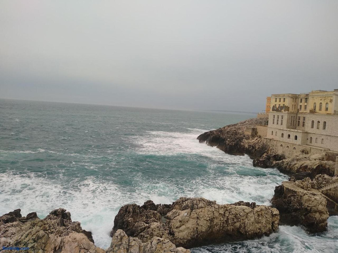 B&B Alicino