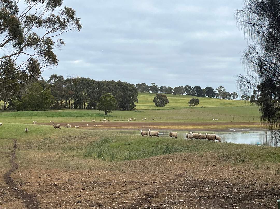 Pierrepoint Accommodation主图