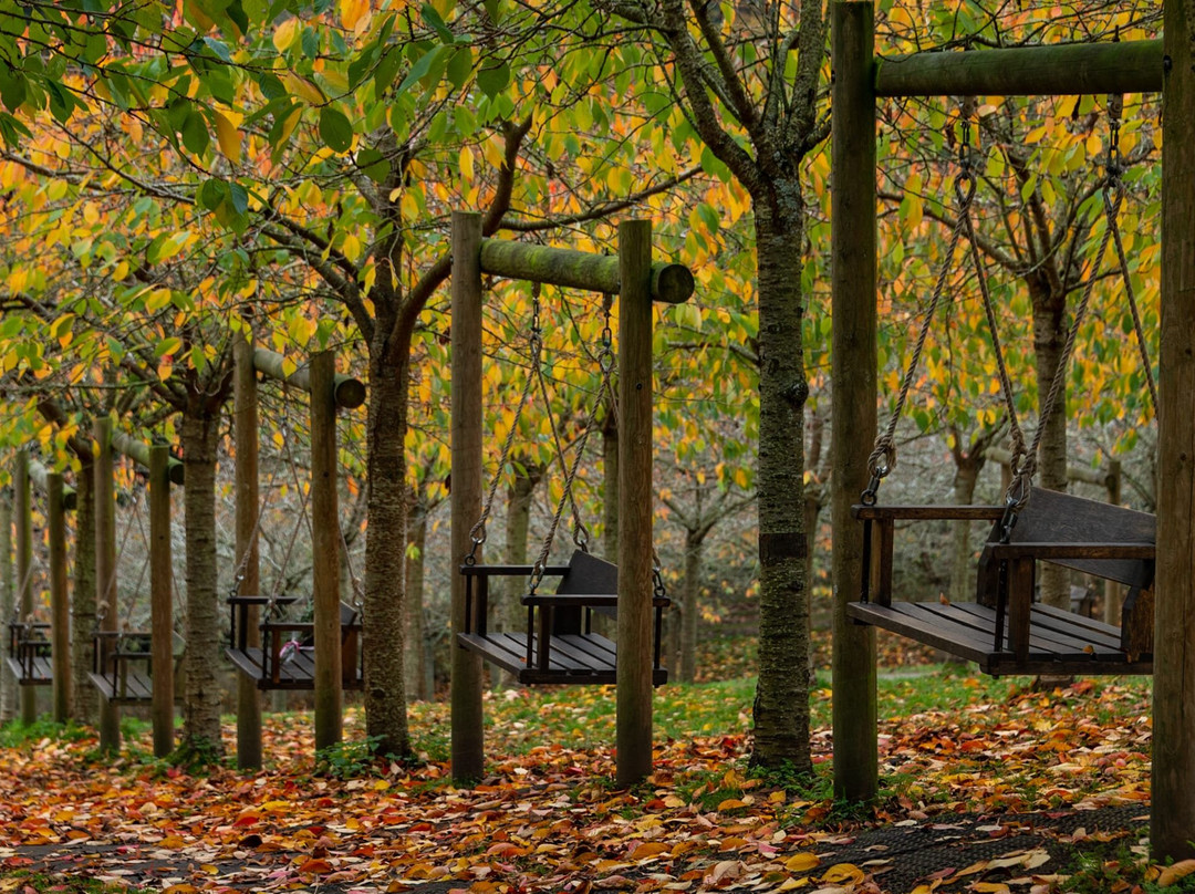 The Alnwick Garden景点图片